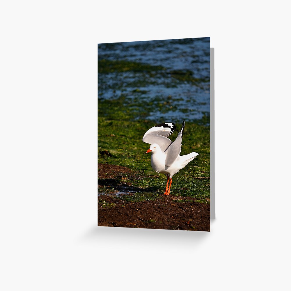 Item preview, Greeting Card designed and sold by Tiffany.