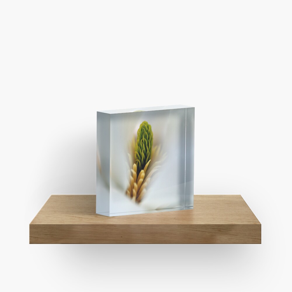 Item preview, Acrylic Block designed and sold by Tiffany.