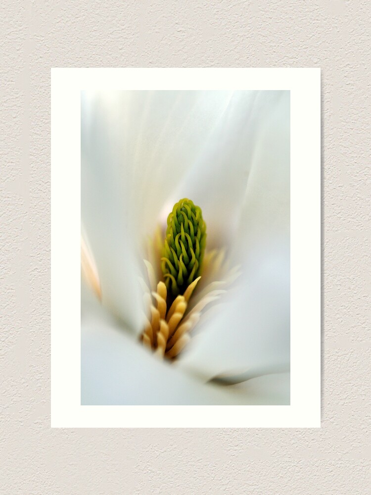 Thumbnail 2 of 3, Art Print, Inside, looking out designed and sold by Tiffany Dryburgh.