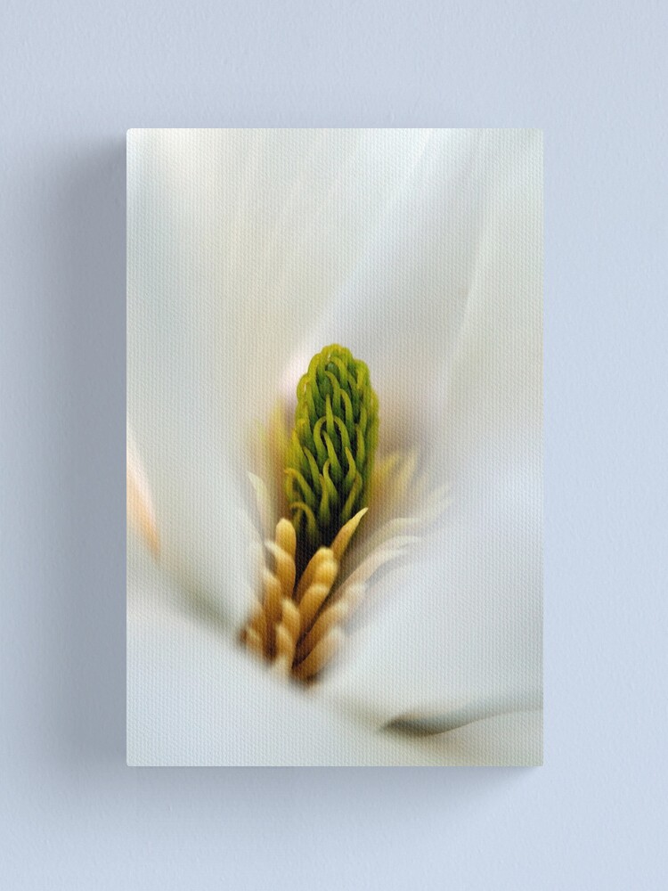 Thumbnail 2 of 3, Canvas Print, Inside, looking out designed and sold by Tiffany Dryburgh.