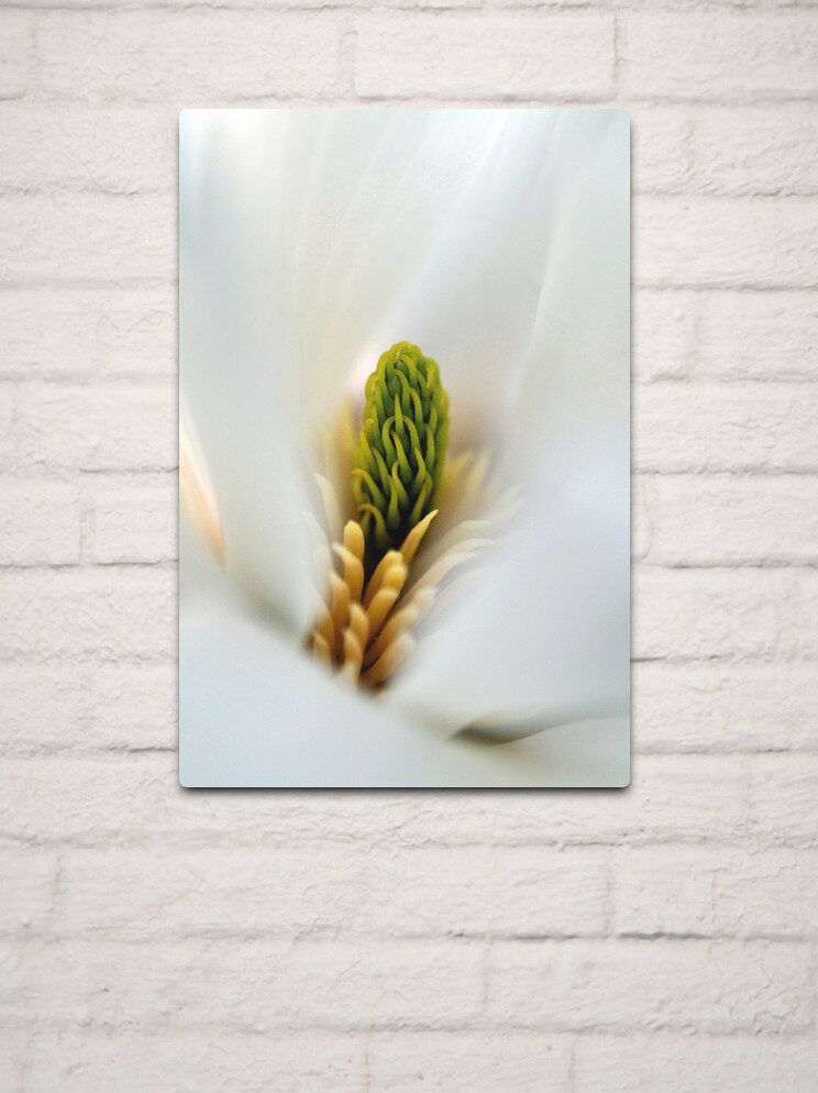 Thumbnail 2 of 4, Metal Print, Inside, looking out designed and sold by Tiffany Dryburgh.