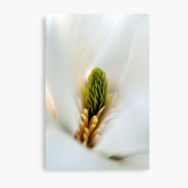 Metal Print