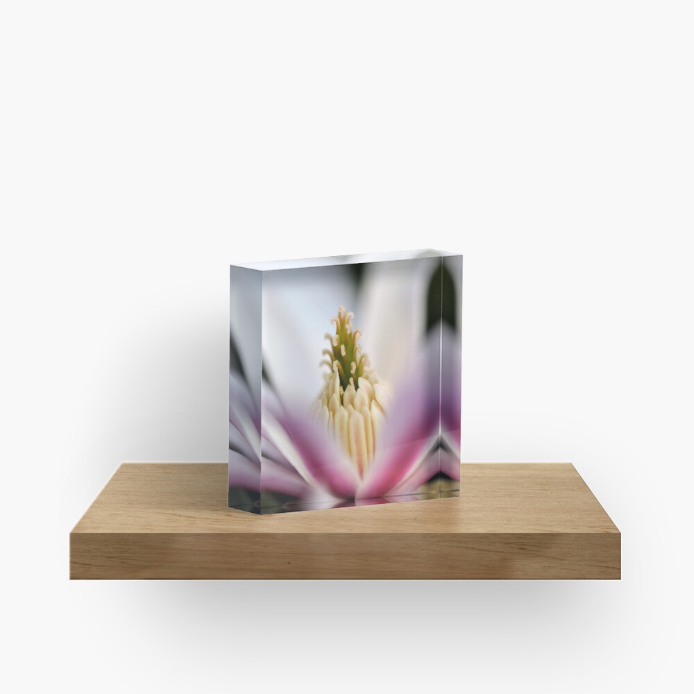 Item preview, Acrylic Block designed and sold by Tiffany.
