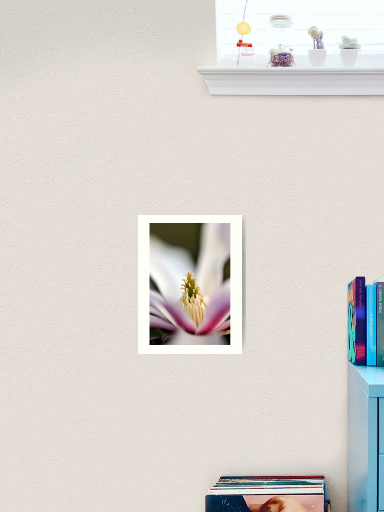 Thumbnail 2 of 3, Art Print, The Star of the Star Magnolia designed and sold by Tiffany.