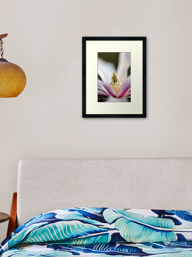 Thumbnail 1 of 7, Framed Art Print, The Star of the Star Magnolia designed and sold by Tiffany Dryburgh.