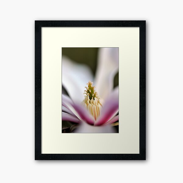 Framed Art Print