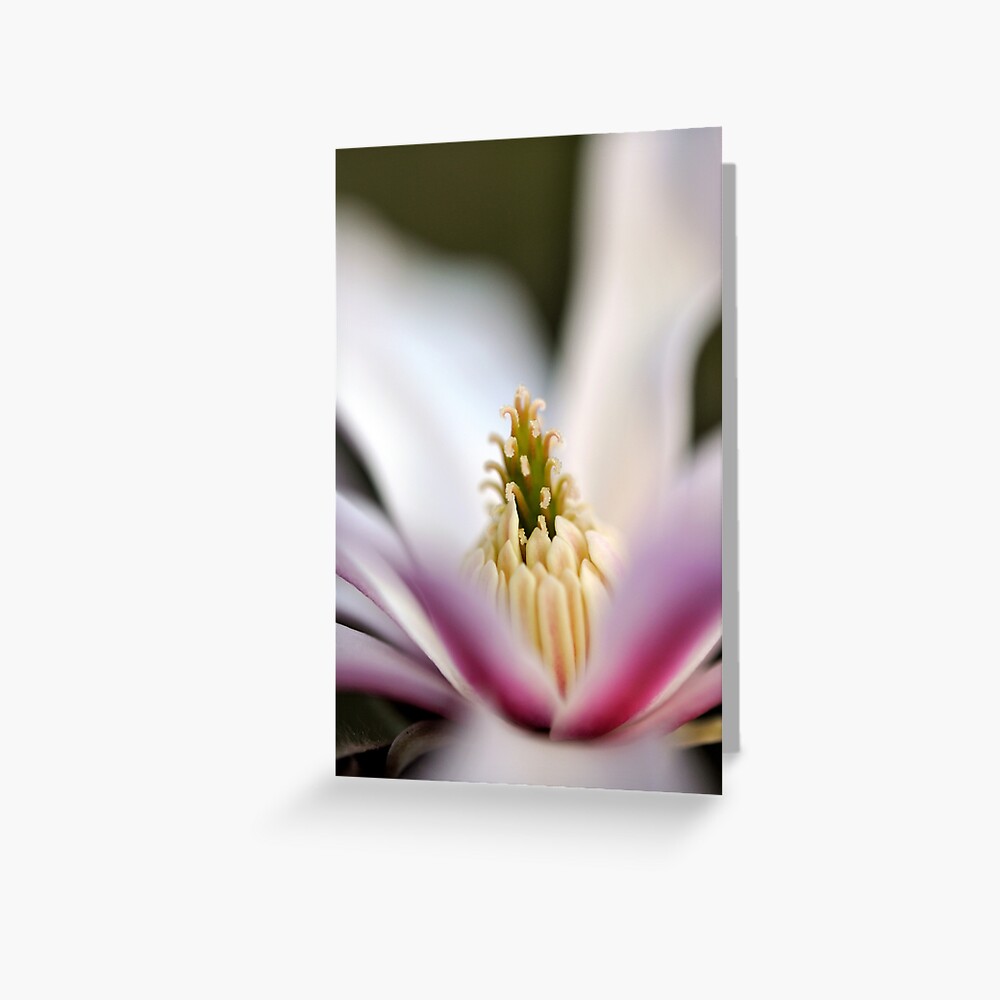 The Star of the Star Magnolia Greeting Card