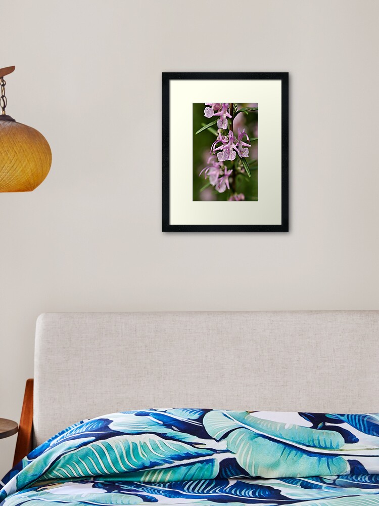 Thumbnail 2 of 7, Framed Art Print, Rosemary Blooms designed and sold by Tiffany.