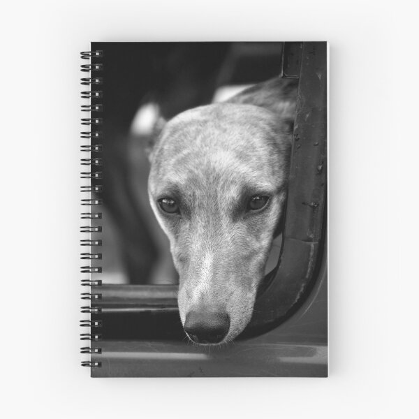 Item preview, Wistful designed and sold by Tiffany Dryburgh.