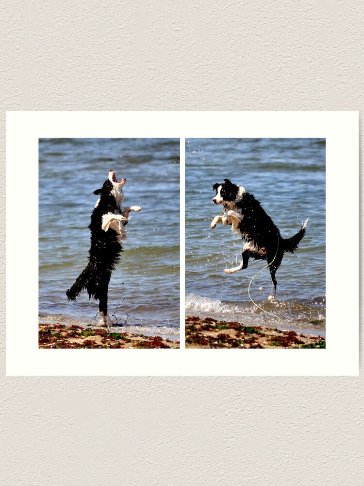 Alternate view of The All Singing, All Dancing Wonder Dog! Art Print