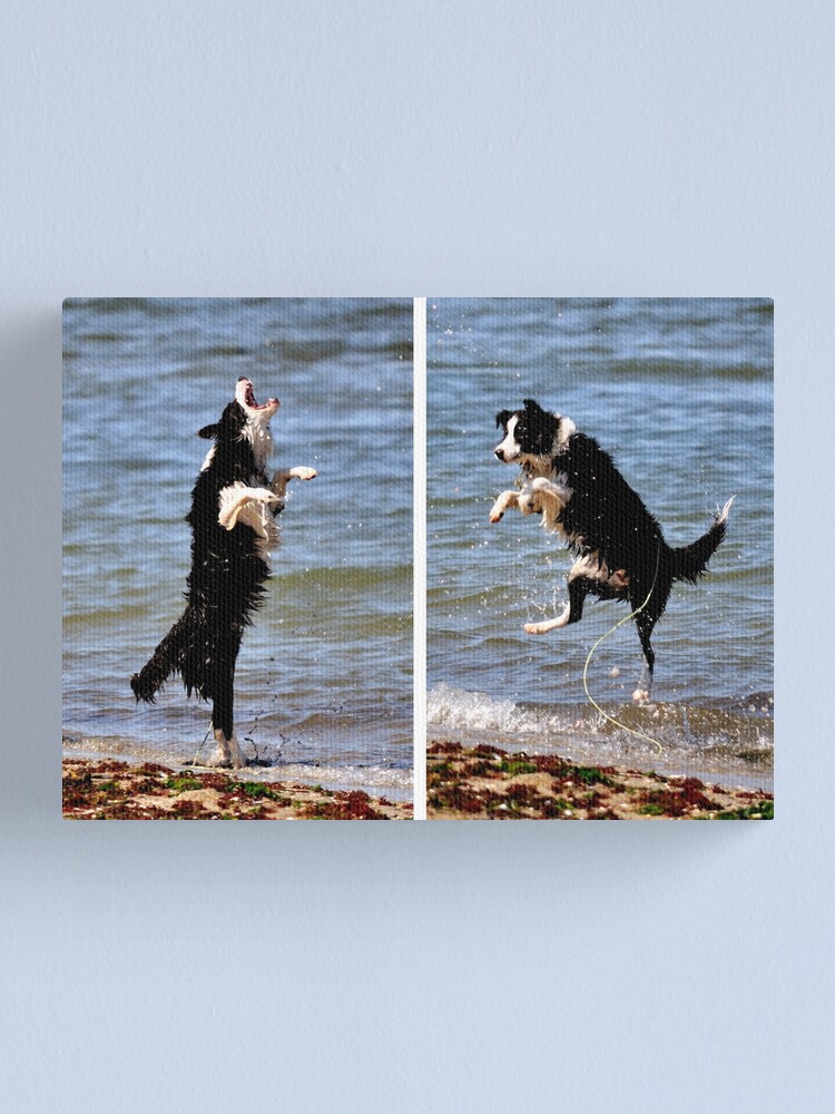 Alternate view of The All Singing, All Dancing Wonder Dog! Canvas Print