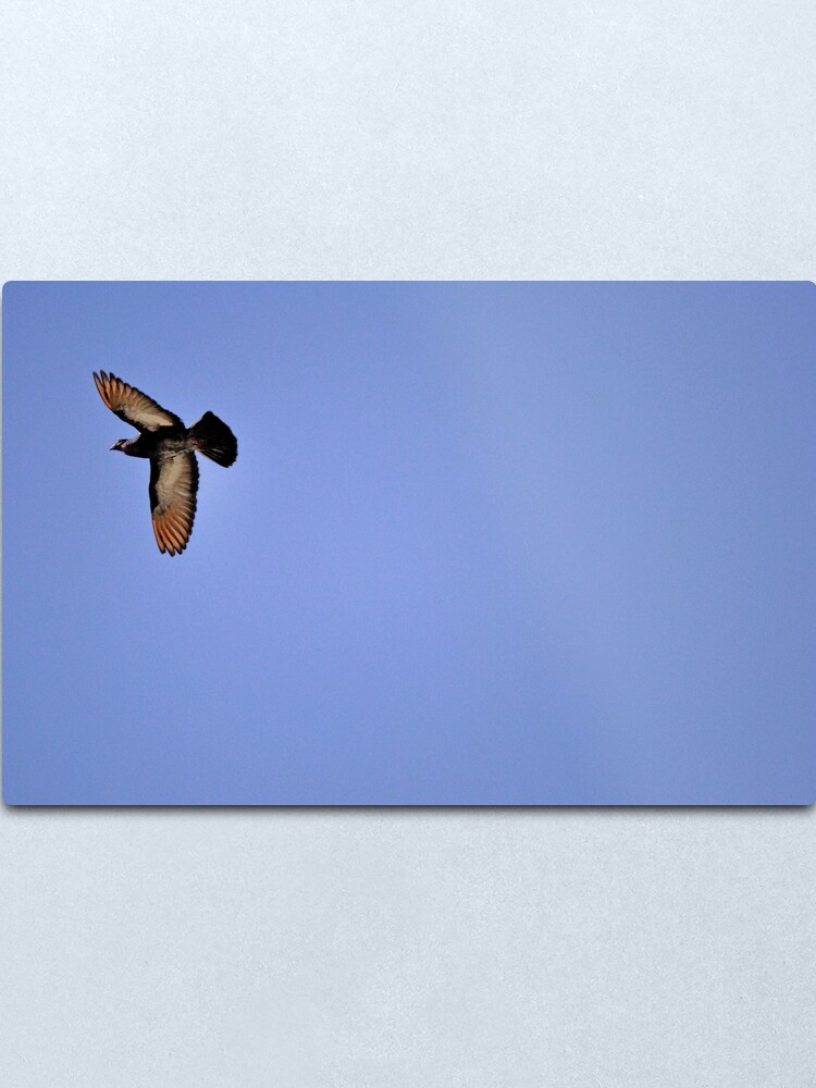 Alternate view of Free Wheelin' Metal Print