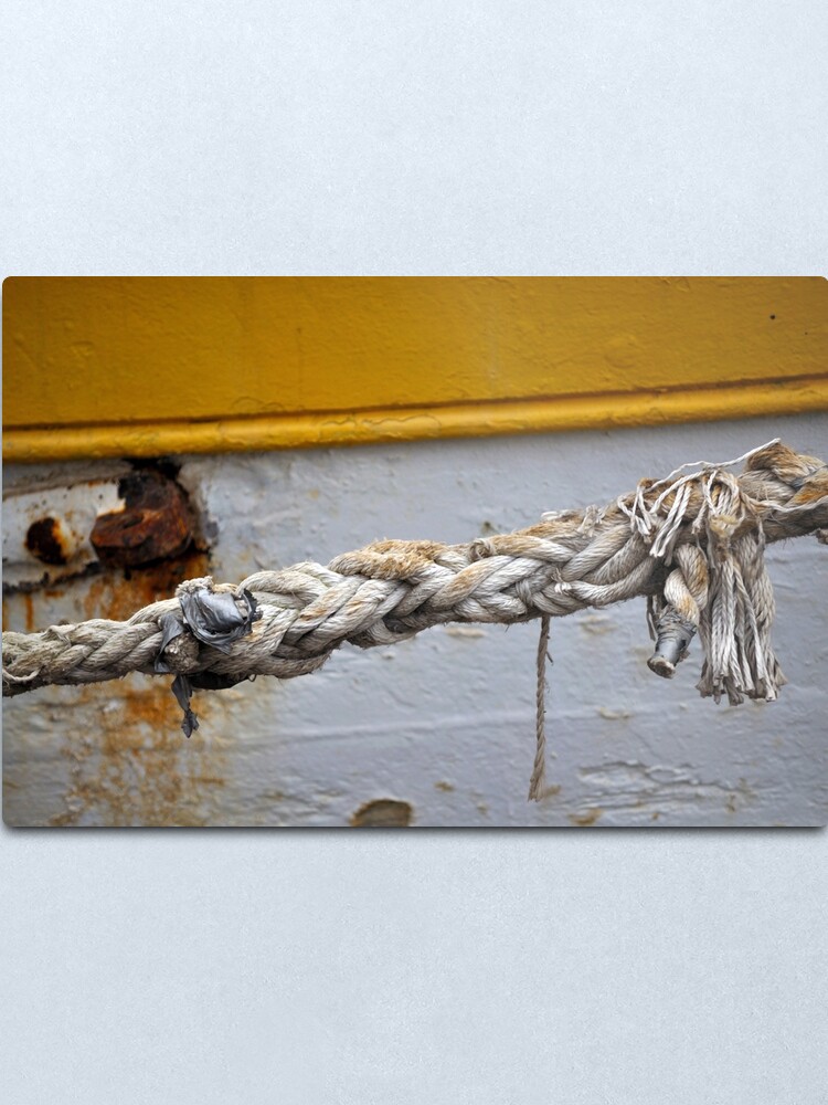 Alternate view of Money for old rope Metal Print