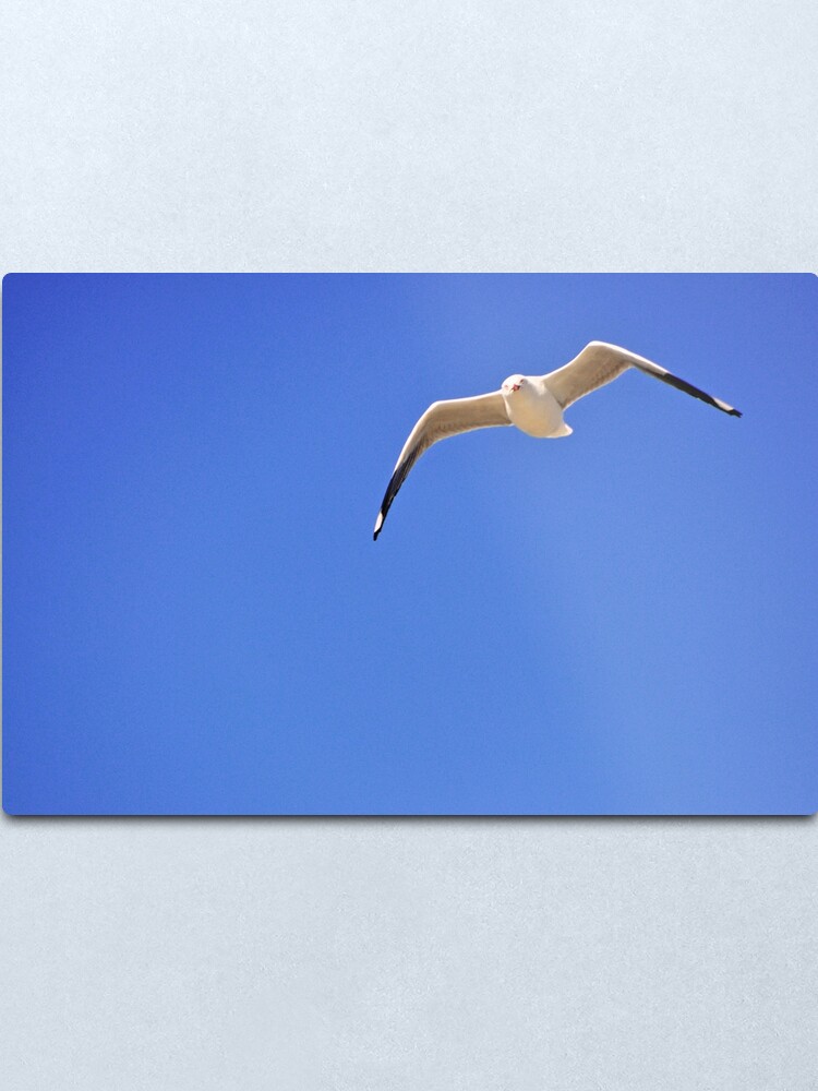 Alternate view of Updraft Metal Print