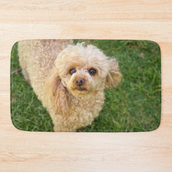 Item preview, Lulu designed and sold by Tiffany Dryburgh.