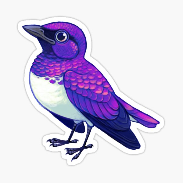 Item preview, Pride Birds: Violet-backed Starling designed and sold by Wren Melville's Art.