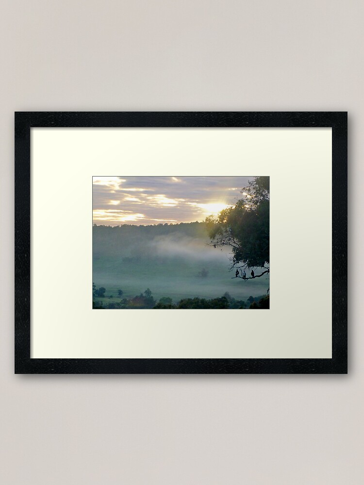 Morning Chorus Framed Art Print By Nicolamorgan Redbubble