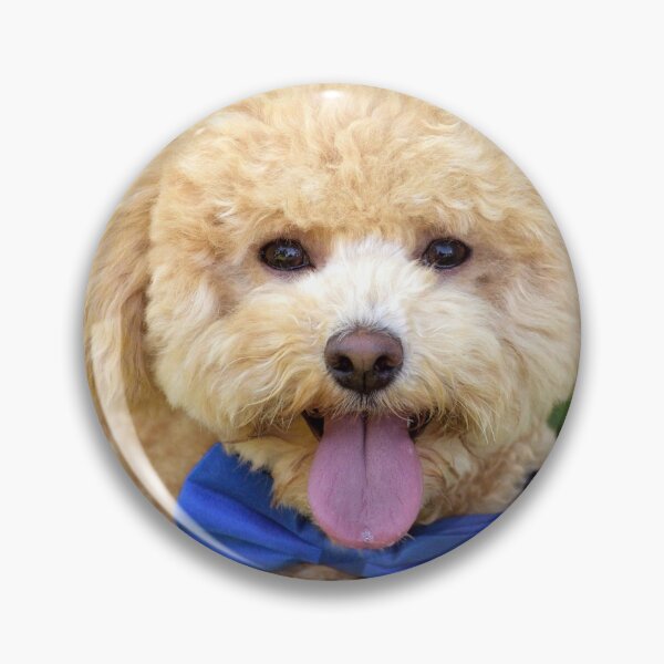 Item preview, The Birthday Boy designed and sold by Tiffany Dryburgh.