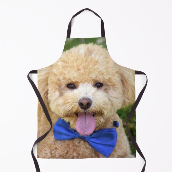 Item preview, The Birthday Boy designed and sold by Tiffany Dryburgh.