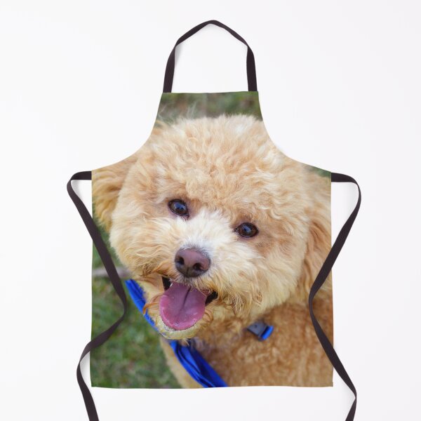 Item preview, Anker designed and sold by Tiffany Dryburgh.