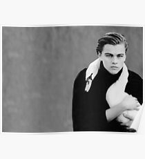 Leo und der Schwan Poster