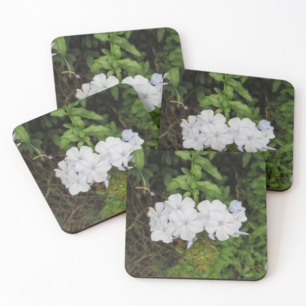 Item preview, Plumbago flowers designed and sold by greentiger1.