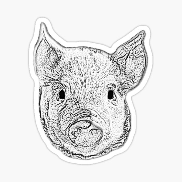 Artikel-Vorschau von Schwein, designt und verkauft von Kimberly Czotter.