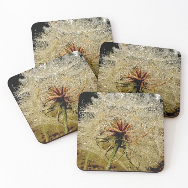 Item preview, Make a wish designed and sold by kimpicphoto.