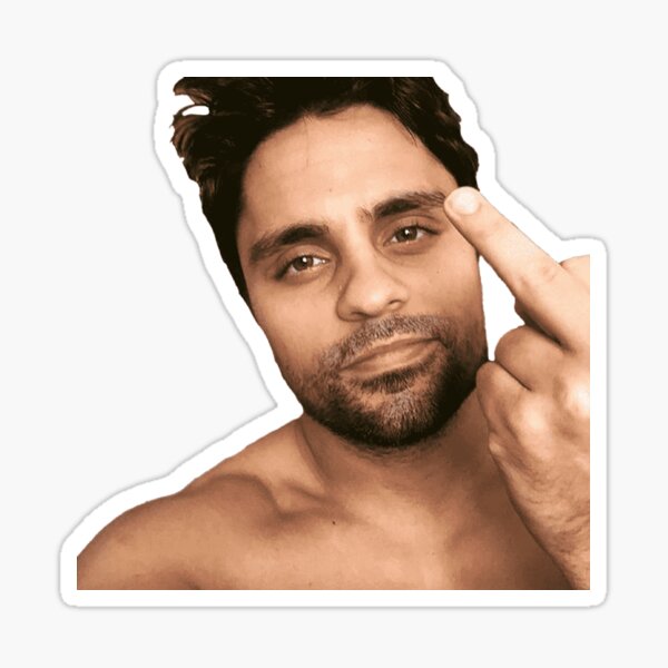 Ray William Johnson Stickers Redbubble - ray william johnson roblox decal