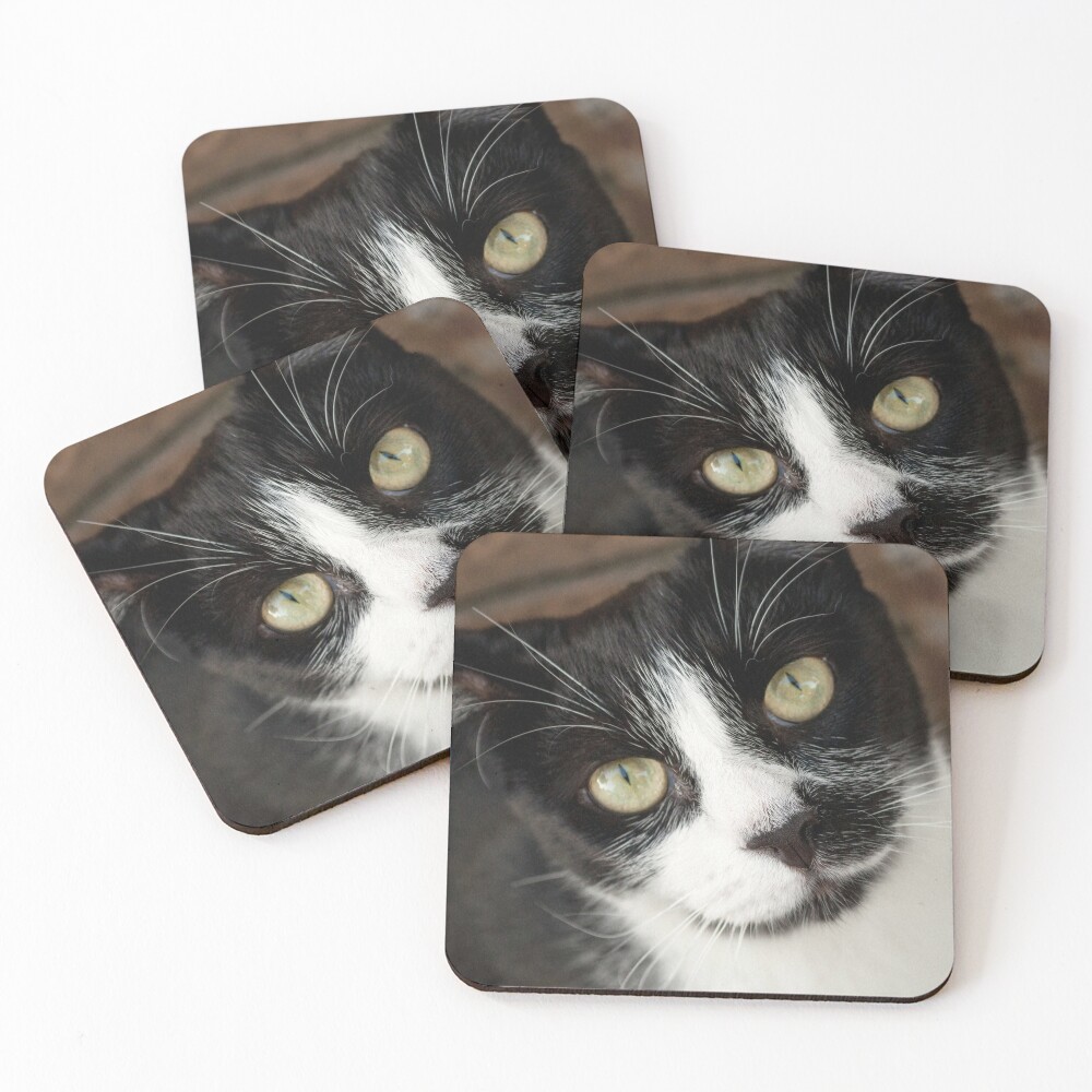 Item preview, Coasters (Set of 4) designed and sold by Tiffany.