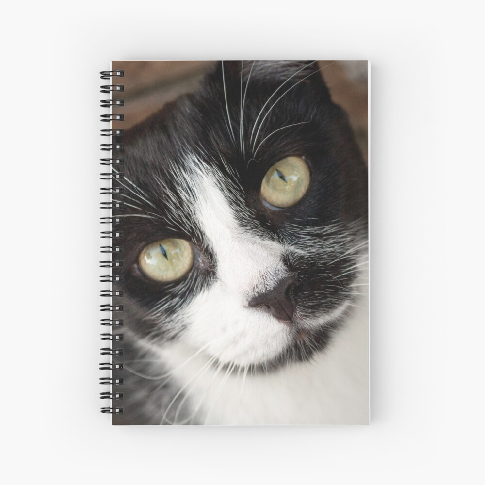 Item preview, Spiral Notebook designed and sold by Tiffany.