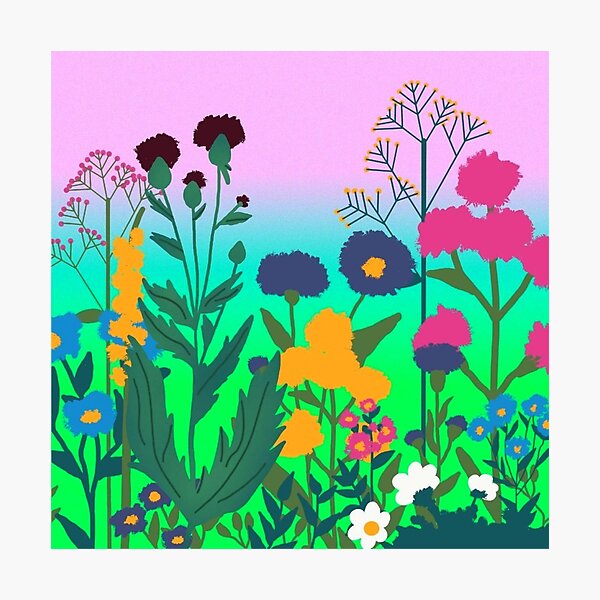 Mix flowers Photographic Print