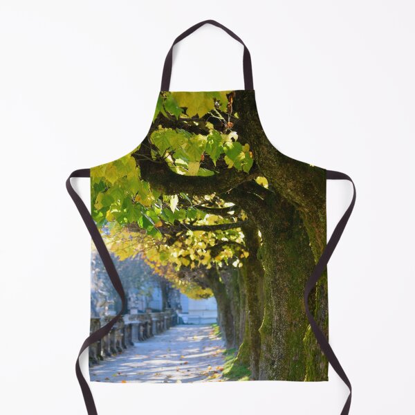 Item preview, Autumn Sun, Salzburgo designed and sold by Tiffany Dryburgh.