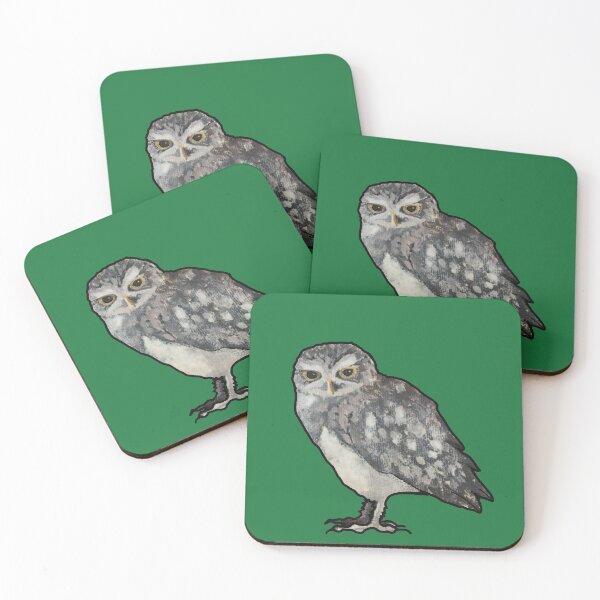 Item preview, Burrowing Owl Friend designed and sold by Angrysheepie.