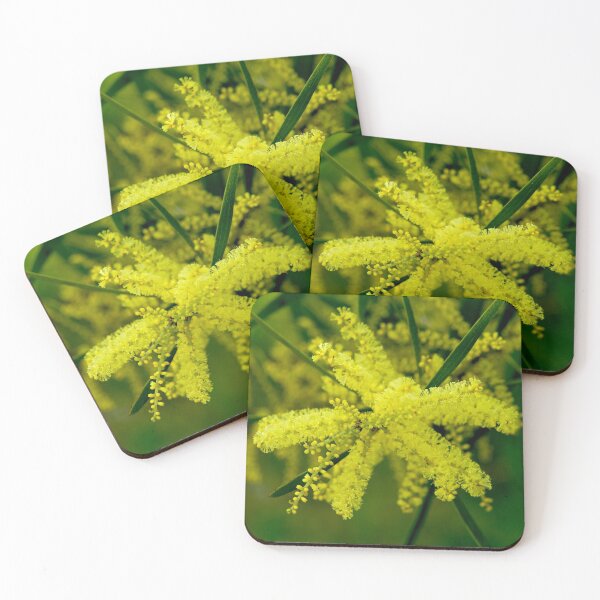 Item preview, Wattle Flower Burst designed and sold by GP1746.