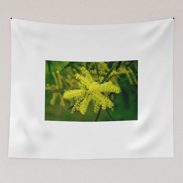 Item preview, Wattle Flower Burst designed and sold by GP1746.
