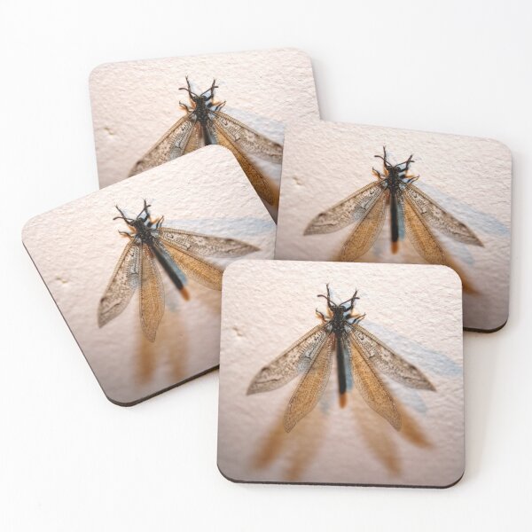 Item preview, Dragon fly designed and sold by Lee's Place.