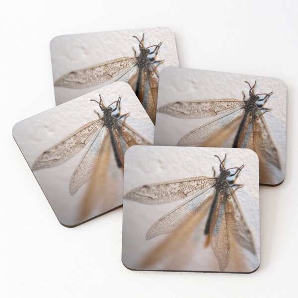 Item preview, Dragon fly designed and sold by Lee's Place.