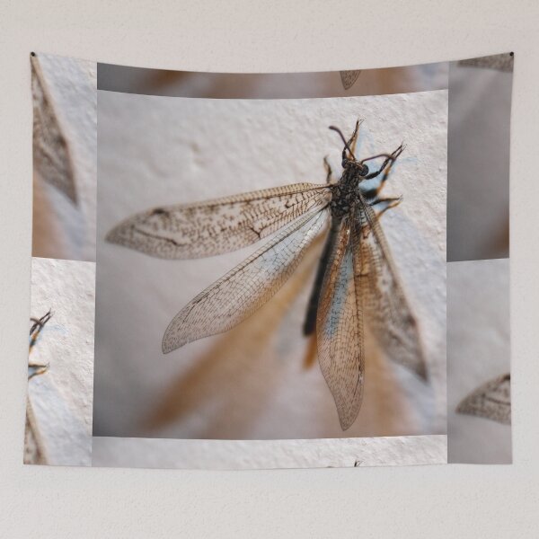 Item preview, Dragon fly designed and sold by Lee's Place.