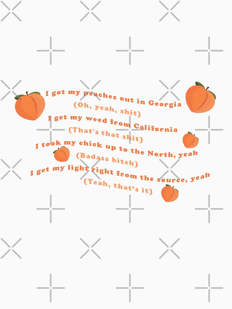 Disover Peaches Lyrics Classic T-Shirt