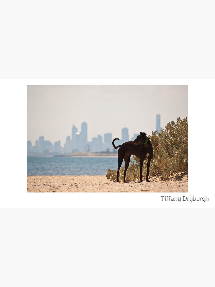 A Day at the Beach by Tiffany