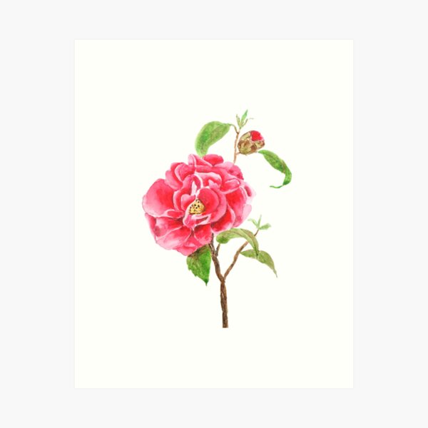 Item preview, hand painted one red camellia flower watercolor  designed and sold by ColorandColor.
