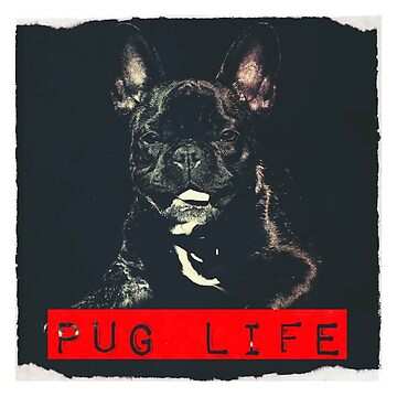 Artwork thumbnail, Pug Life by grindgate