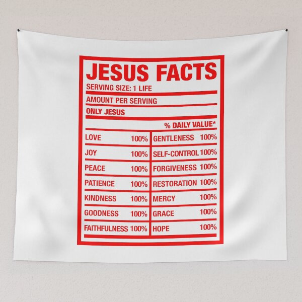 Item preview, Jesus facts designed and sold by plushism.