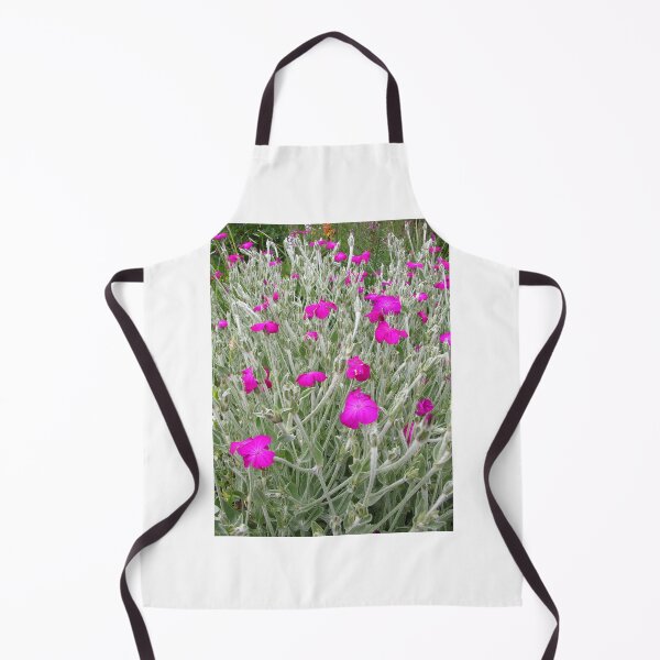 Item preview, The Rose Campion, Silene coronaria - vivid rose-purple flowers designed and sold by Rocketman2017.