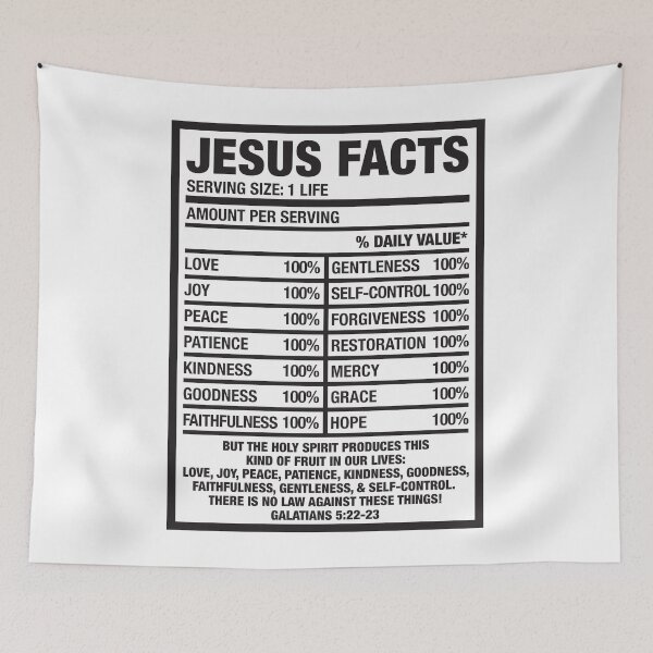 Item preview, Jesus facts designed and sold by plushism.