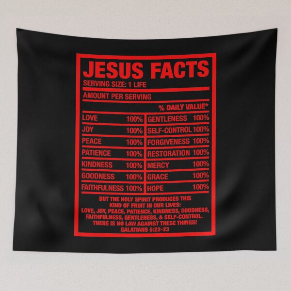 Item preview, Jesus facts designed and sold by plushism.