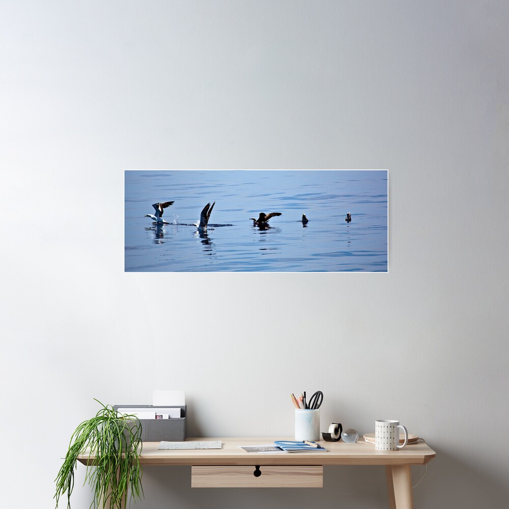 In synch Poster