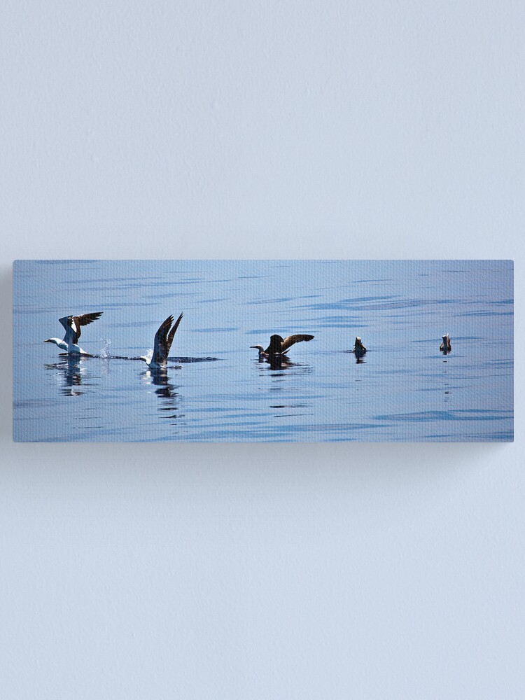 Alternate view of In synch Canvas Print