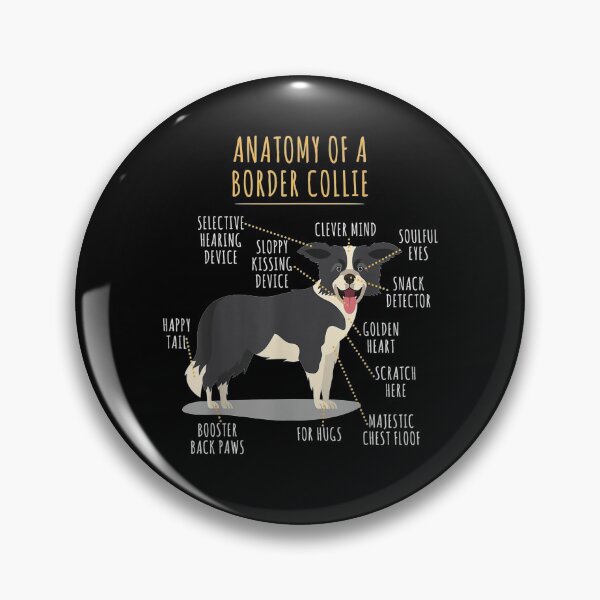 Item preview, Funny Anatomy Of A Border Collie Intelligent Dog Breed  designed and sold by manidala.